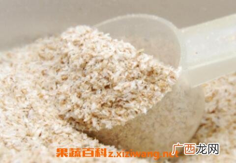 车前子壳的功效与作用 车前子壳的药用价值