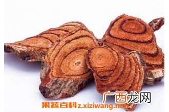鸡血藤的功效与作用及食用方法