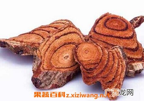 鸡血藤的功效与作用及食用方法