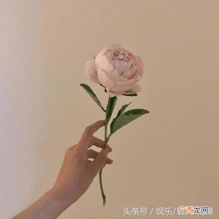 失恋心痛是几级疼痛，测分手后前任带给你的疼痛等级
