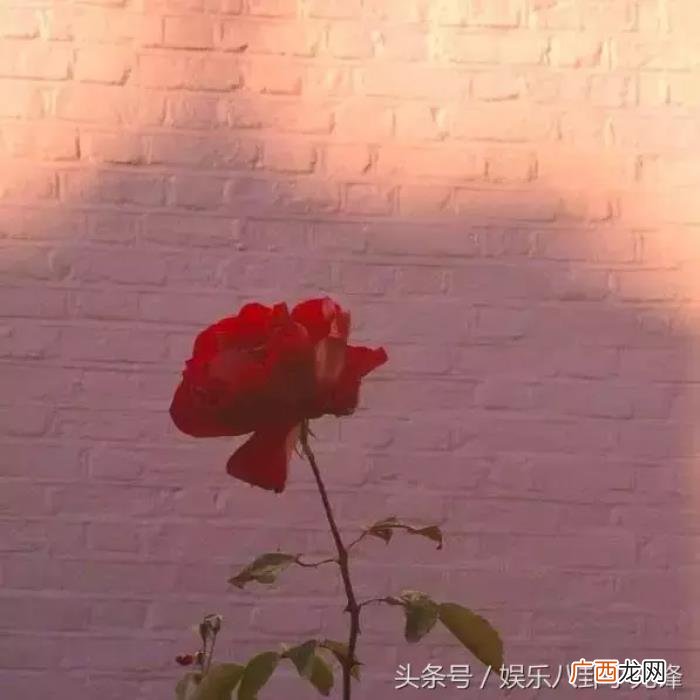 失恋心痛是几级疼痛，测分手后前任带给你的疼痛等级
