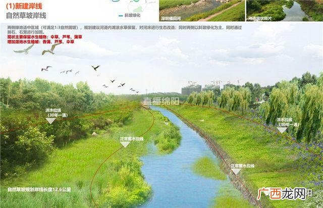 园林绿化班组长年总结 2013年某园林绿化