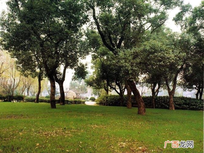 园林景观设计平面图 园林绿化设计 例