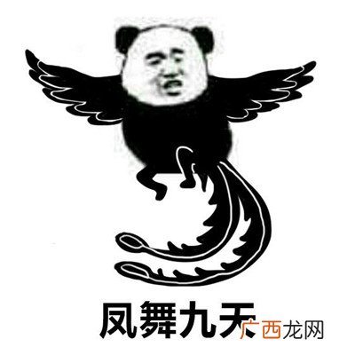 2021你难道就没有一点羞耻之心表情包 最有趣的带字金馆长表情包