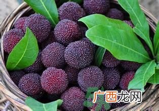 宝宝可以吃杨梅吗？宝宝多大可以吃杨梅？