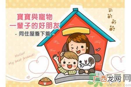 宝宝和宠物怎样共处?和谐共处4项原则