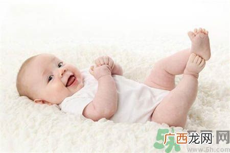 宝宝和宠物怎样共处?和谐共处4项原则