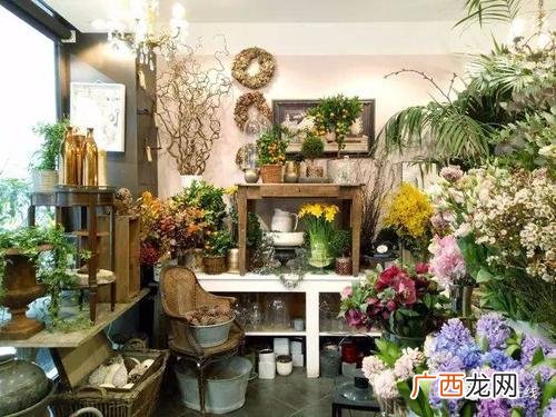 投资花卉大棚能赚钱吗 批发花卉赚钱吗