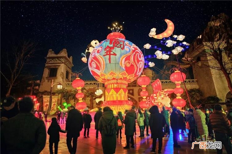 沙漠玫瑰 平凉花卉市场在哪里
