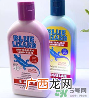蓝蜥蜴和水宝宝哪个好？蓝蜥蜴和水宝宝比较