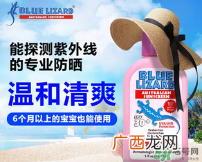 蓝蜥蜴和水宝宝哪个好？蓝蜥蜴和水宝宝比较