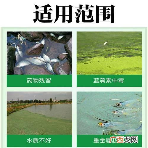水产养殖ph值多少才正常 水产ph值高了用矾吗