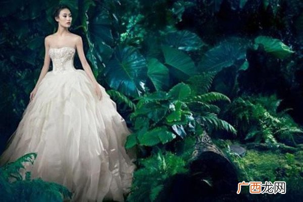 常见的婚纱款式和婚纱品牌介绍