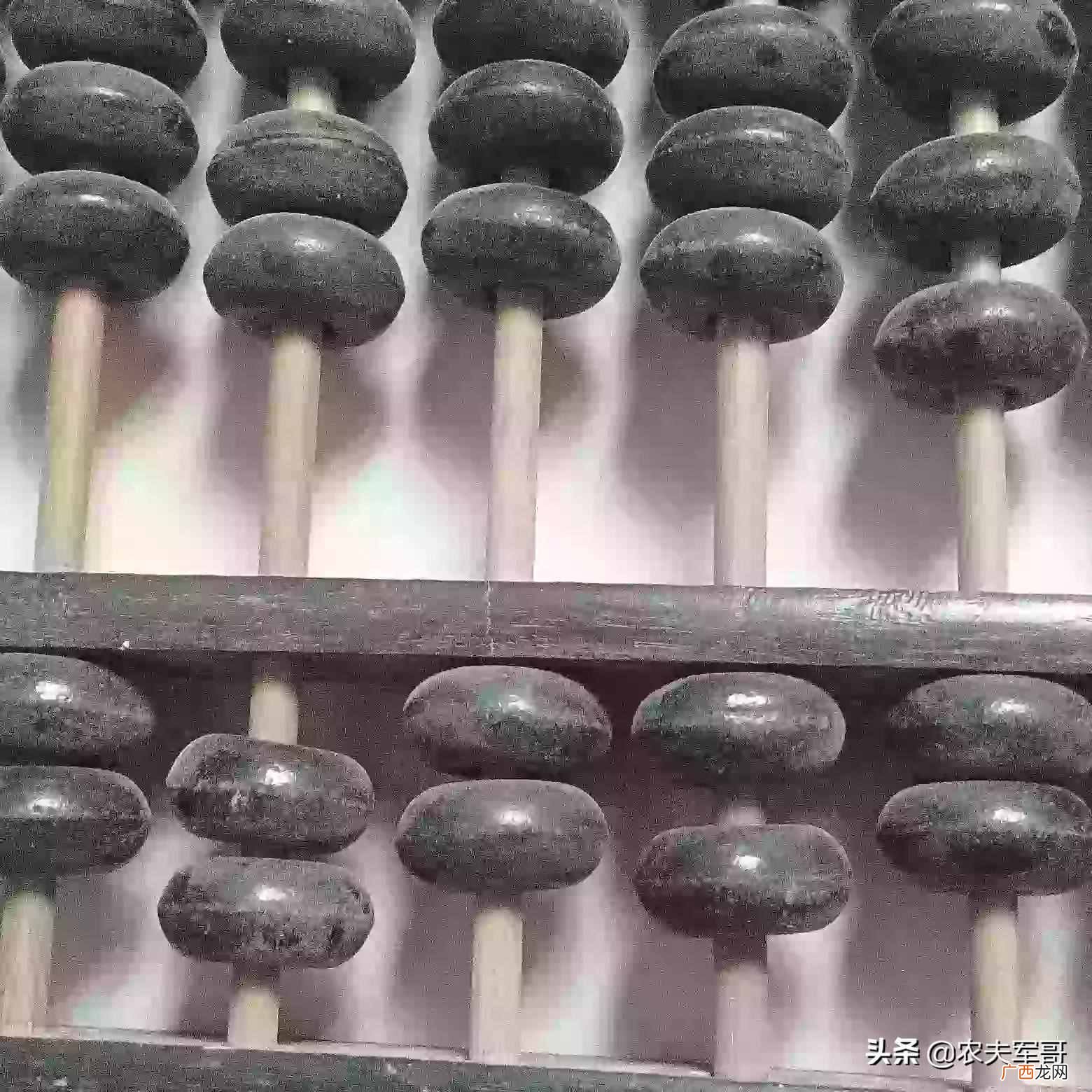 小学生用的算盘哪种比较好 算盘怎么用 小学