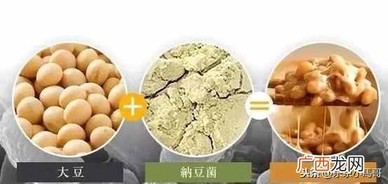 纳豆究竟有哪些营养 纳豆怎么吃