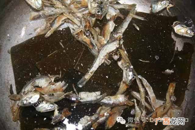 韩国泡菜能直接吃吗 韩国泡菜怎么做