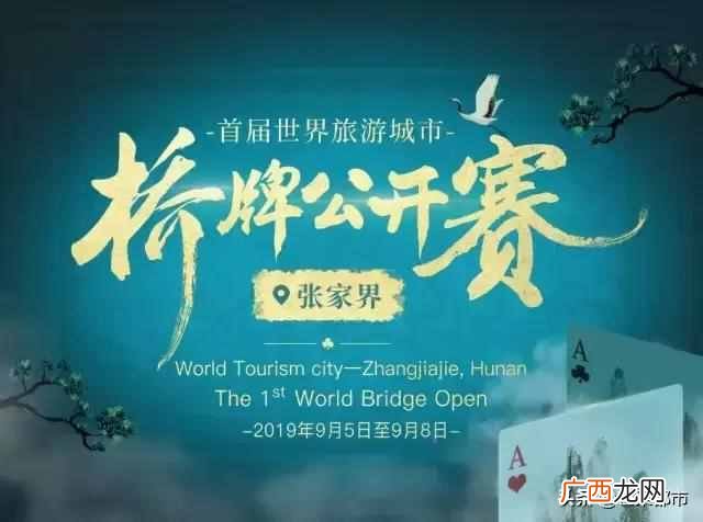 什么样的人适合玩桥牌 桥牌怎么玩