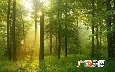 如何有效阅读一本书 书评怎么写