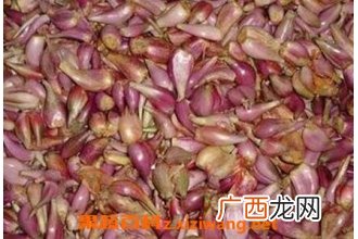 小红葱头草的功效与作用