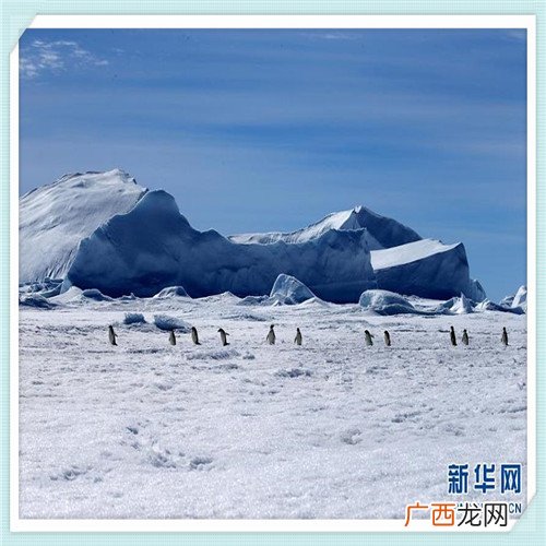 网络工程专业做什么 暨南大学网络工程好不好