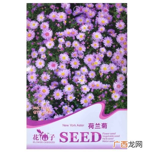茶花的寿命一般多少年 寿命比较长的花卉