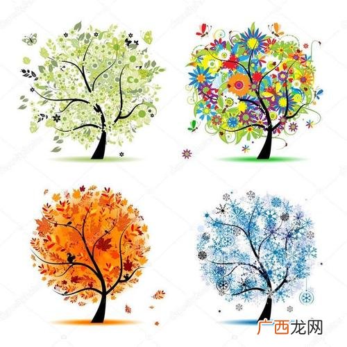 水生植物包括 水生花卉代表