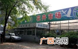 太原万柏林区花卉市场有哪些 太原花卉市场的地址列表