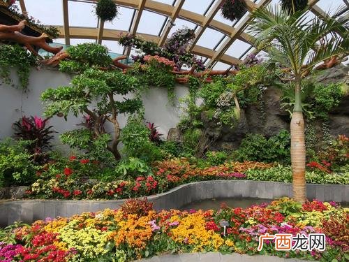 东山花卉批发市场 太原最大花卉批发市场在哪里