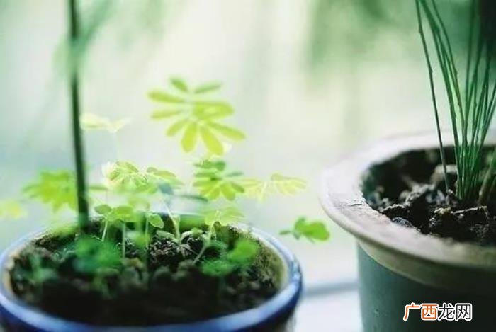 句句温馨周末简单句子 周末简单心情说说