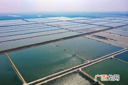 利洋水产科技招聘 厦门水产科技有限公司