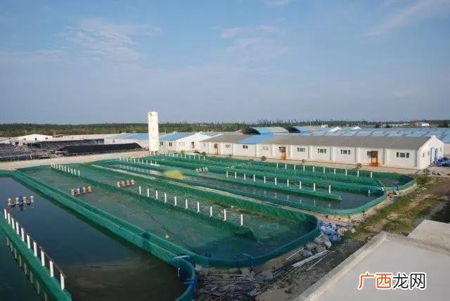 厦门自来水是哪里来的 厦门水产科技有限公司怎么样