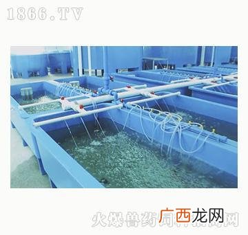 厦门自来水是哪里来的 厦门水产科技有限公司怎么样