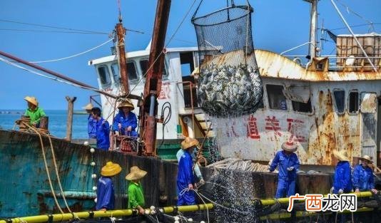 利洋水产招聘 厦门水产科技有限公司招聘信息