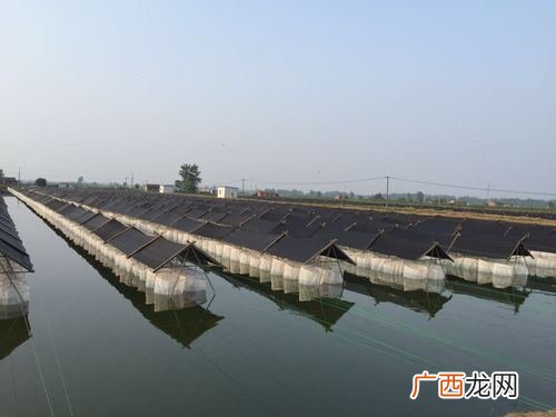 水产养殖设备 仙桃市水产养殖