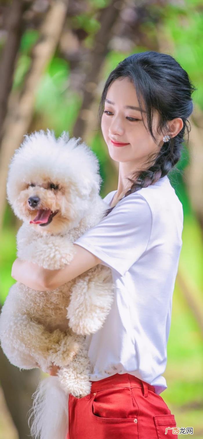 赵丽颖主题壁纸应用，赵丽颖主题壁纸