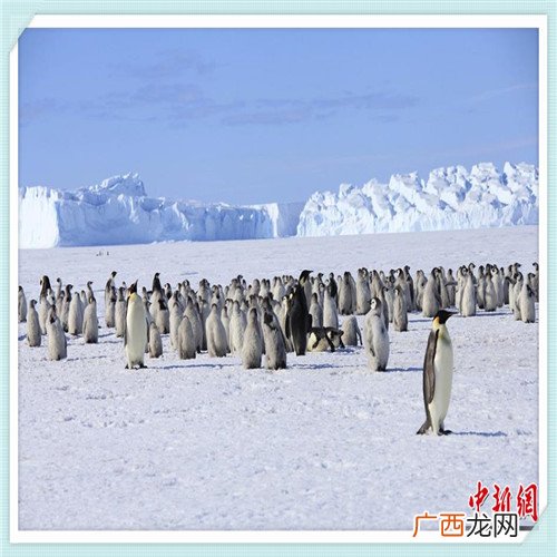惠氏铂臻2段奶粉怎么样 惠氏铂臻奶粉优点缺点