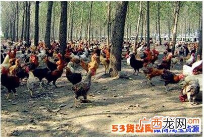 水产养殖行业分析 河南省水产养殖前景
