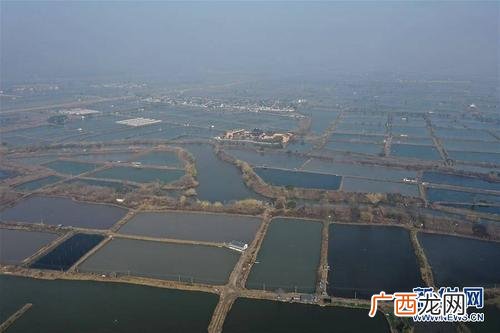 水产养殖行业分析 河南省水产养殖前景