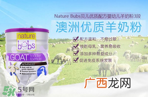 bubs羊奶粉好不好?澳洲贝儿羊奶粉怎么样?