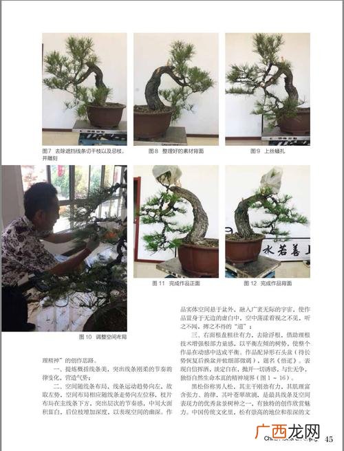 花艺设计作品 中国花卉盆景编辑