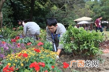 云南花卉公司招聘 舟山花卉公司招聘
