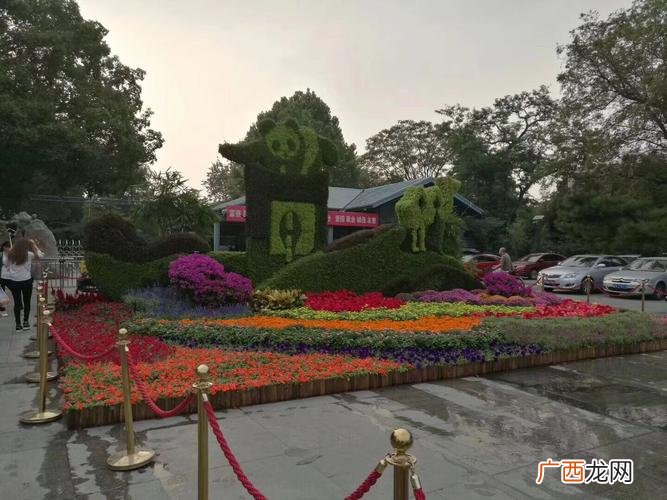 绿植花卉租赁公司哪家好 租摆花卉公司