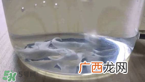 Thinkbaby防晒霜真假辨别Thinkbaby防晒霜有假货吗？