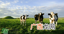 瑞哺恩有机婴奶粉怎么样?瑞哺恩有机婴奶粉怎么冲?