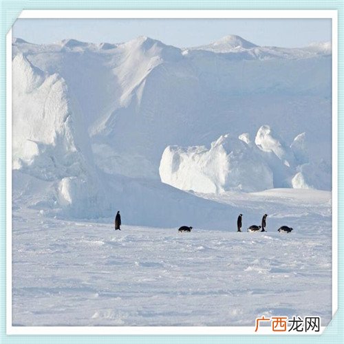 周大生为什么比周大福便宜 周大福是什么档次