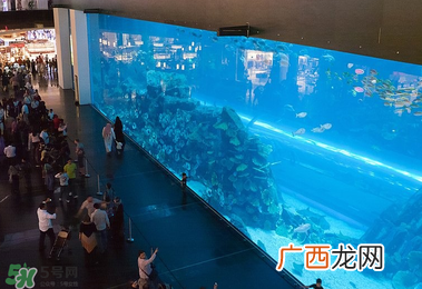 2017迪拜购物攻略迪拜阿联酋买什么便宜?