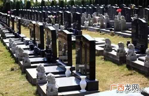投资什么职业发展前景好(中国未来最值得投资