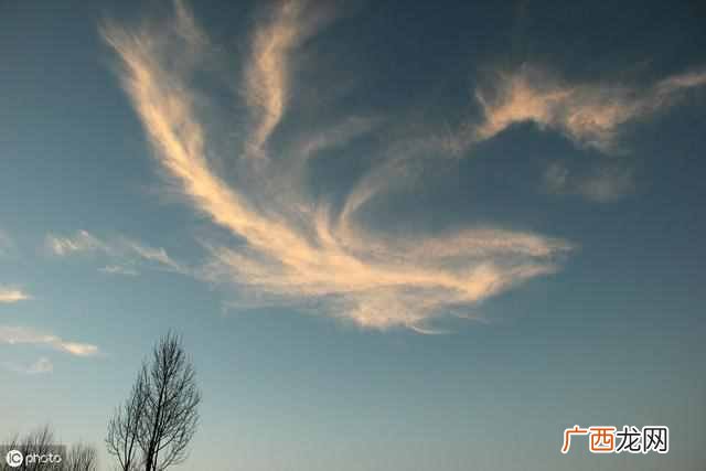 具备这十项能力 什么样子的人适合创业