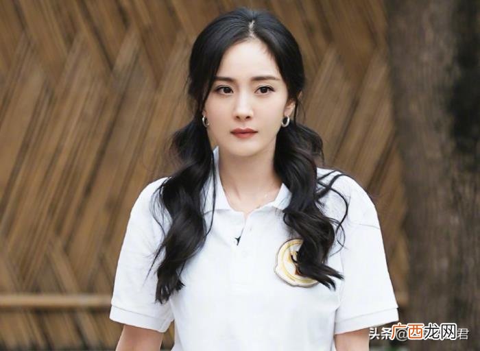 杨幂新综艺节目叫什么，杨幂入驻鹅厂新综艺