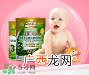 纽瑞滋金装奶粉怎么样?纽瑞滋金装奶粉怎么冲?